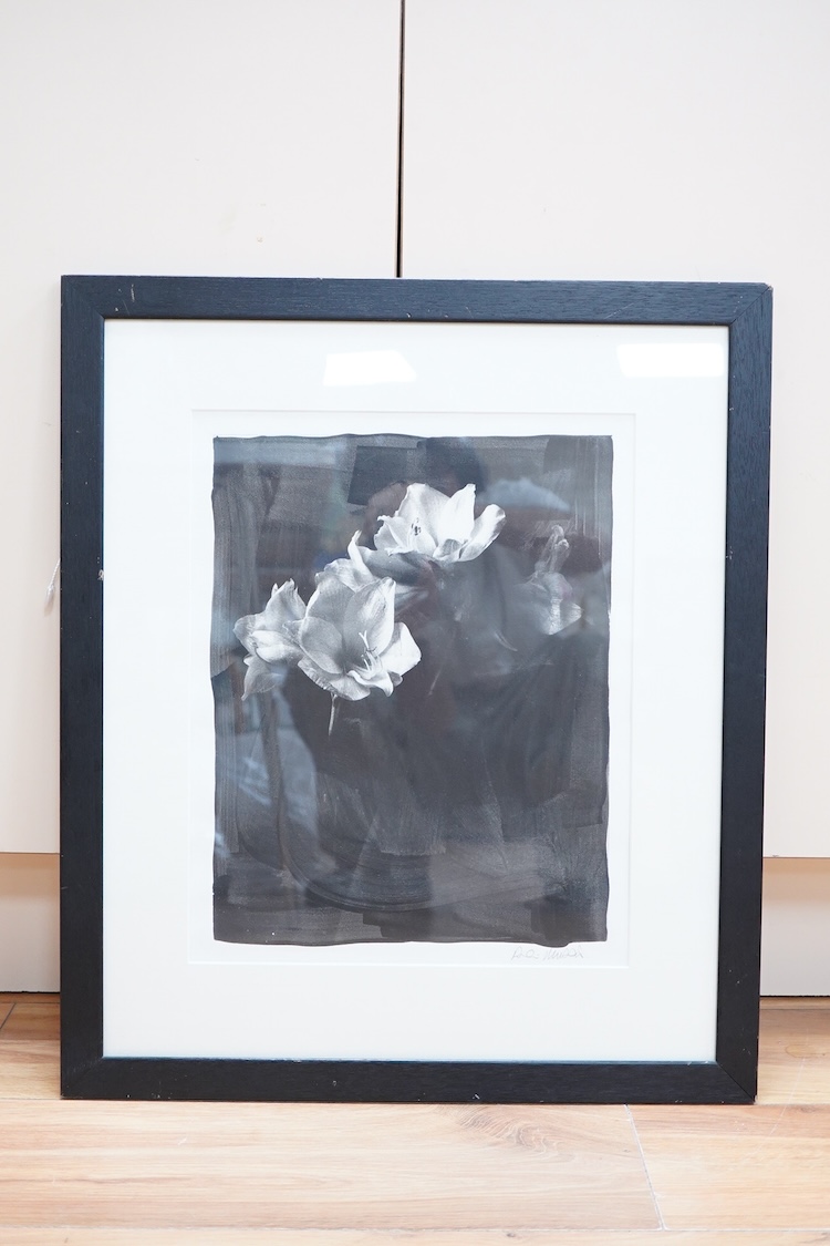 Robin Morris (contemporary), 'Three lilies', limited edition 2/10 verso, signed in pencil, selenium toned edition photograph, 37 x 30cm